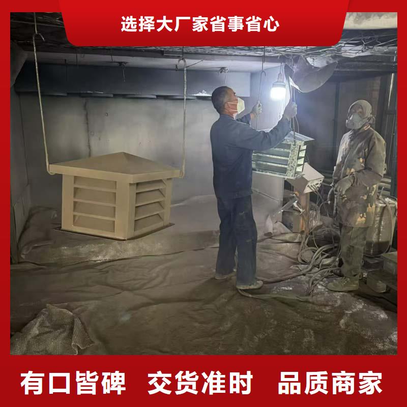 D系列风帽直供厂家