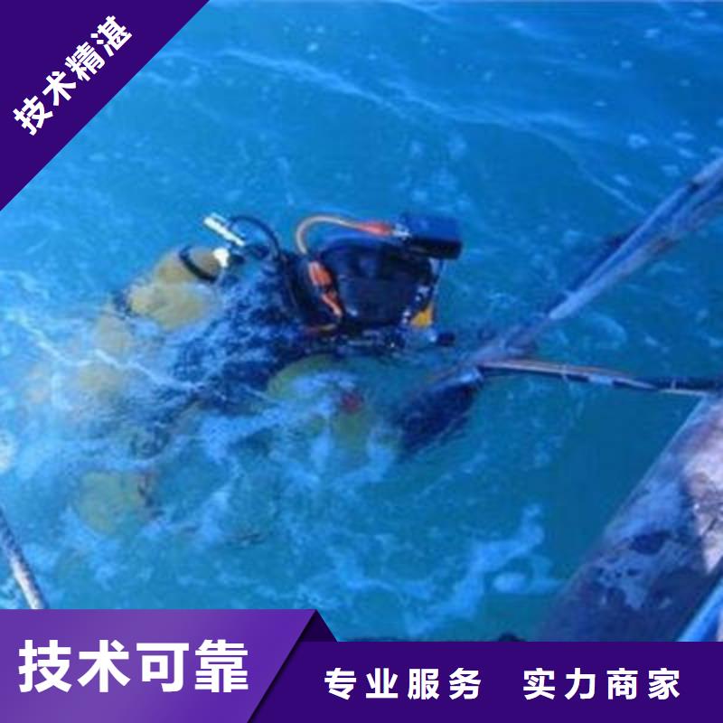 广安市岳池县
池塘打捞貔貅

打捞服务