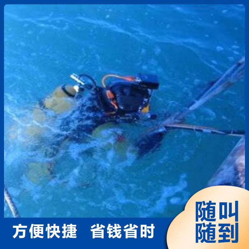 重庆市潼南区
水下打捞貔貅

打捞服务