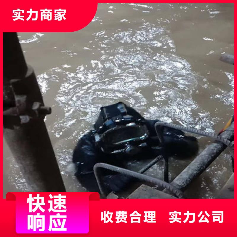 广安市岳池县
池塘打捞貔貅

打捞服务