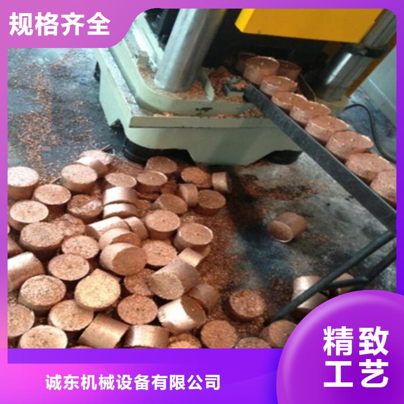 广西省优选好材铸造好品质(诚东)铁屑压饼机模具制造商|值得信赖