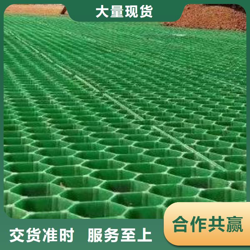 塑料植草格实业集团-欢迎咨询