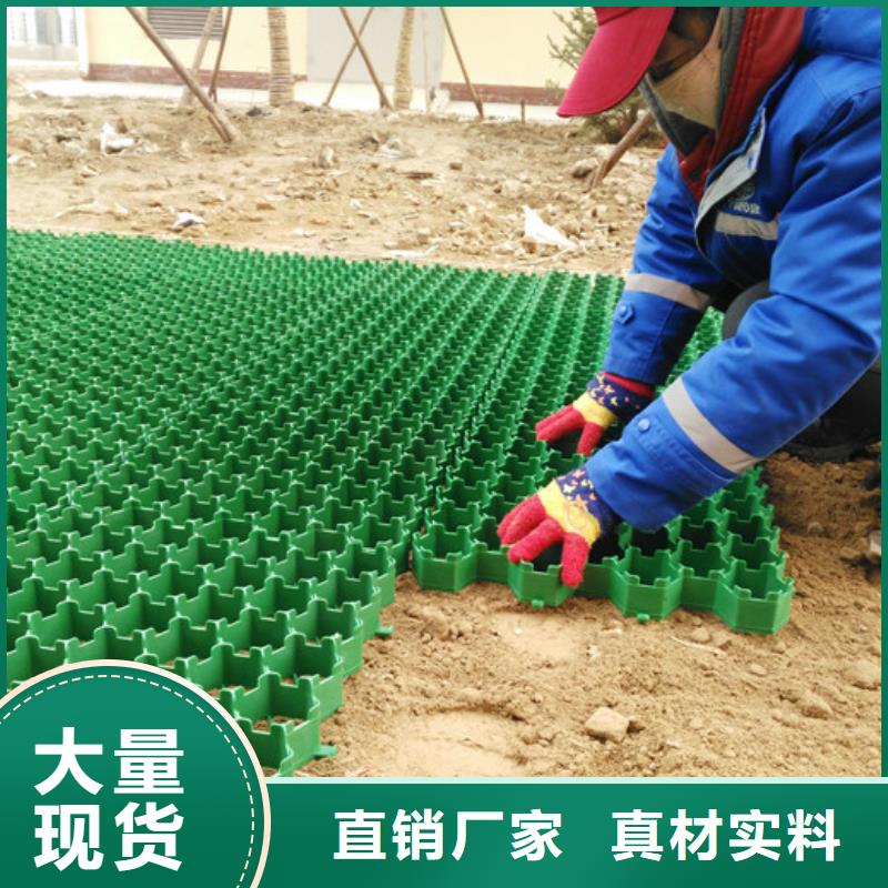 塑料植草格/本地公司