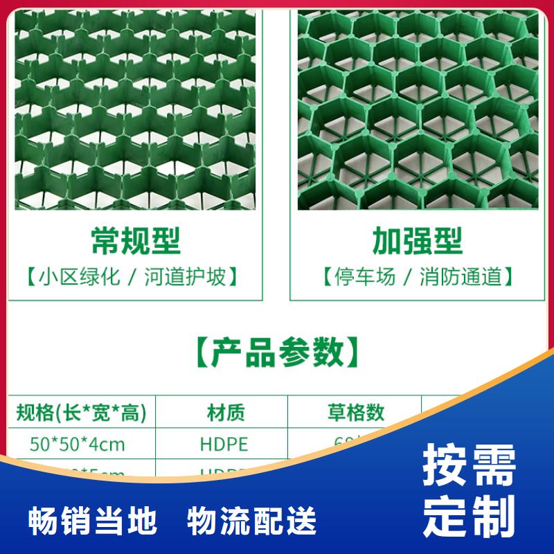 塑料植草格价格-货源价_朋联工程材料有限公司