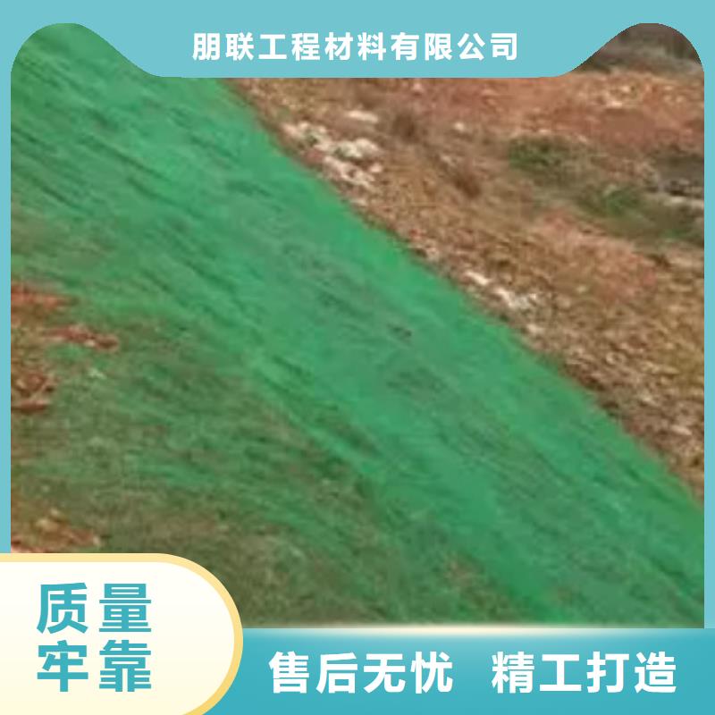 三维植被网化粪池水泥实地大厂