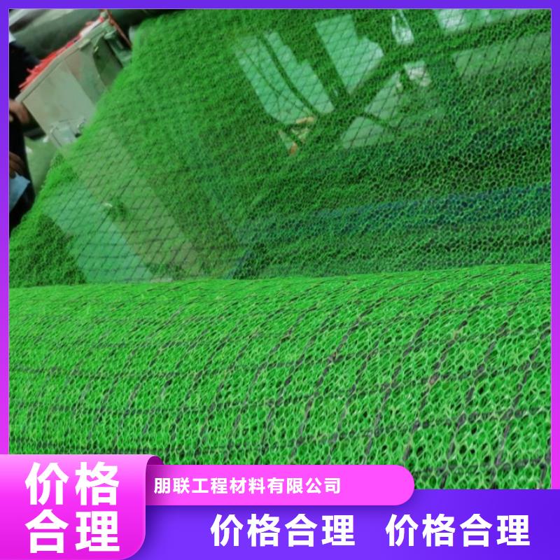 三维植被网【植草格】用心做产品