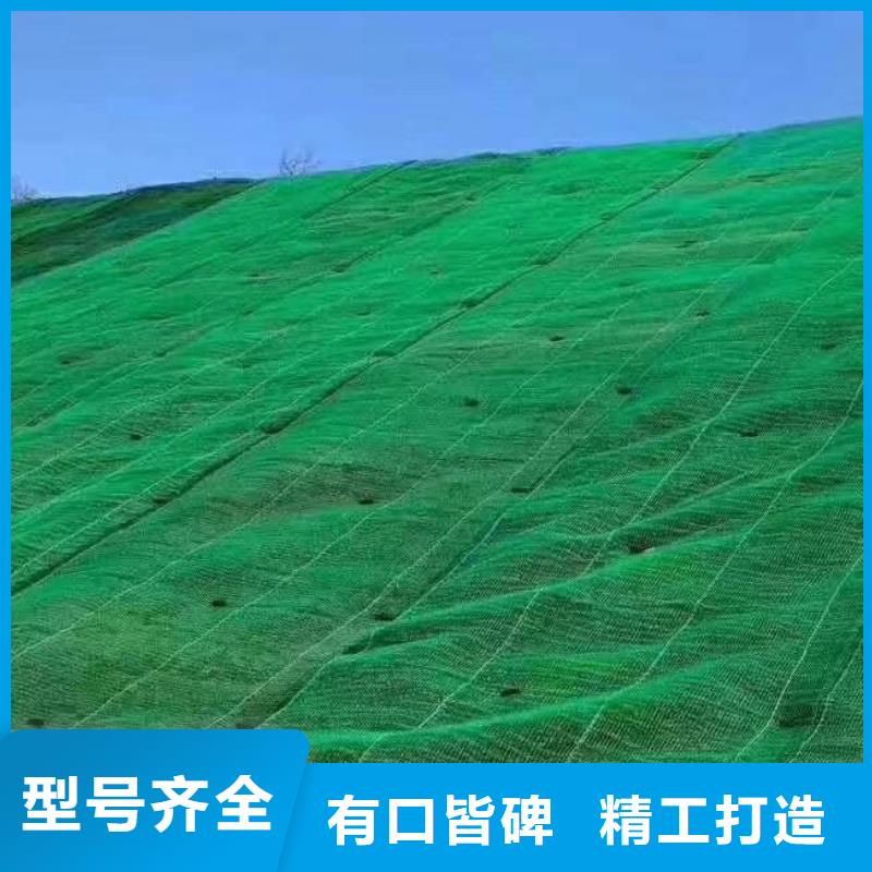 三维植被网,水泥化粪池品质可靠