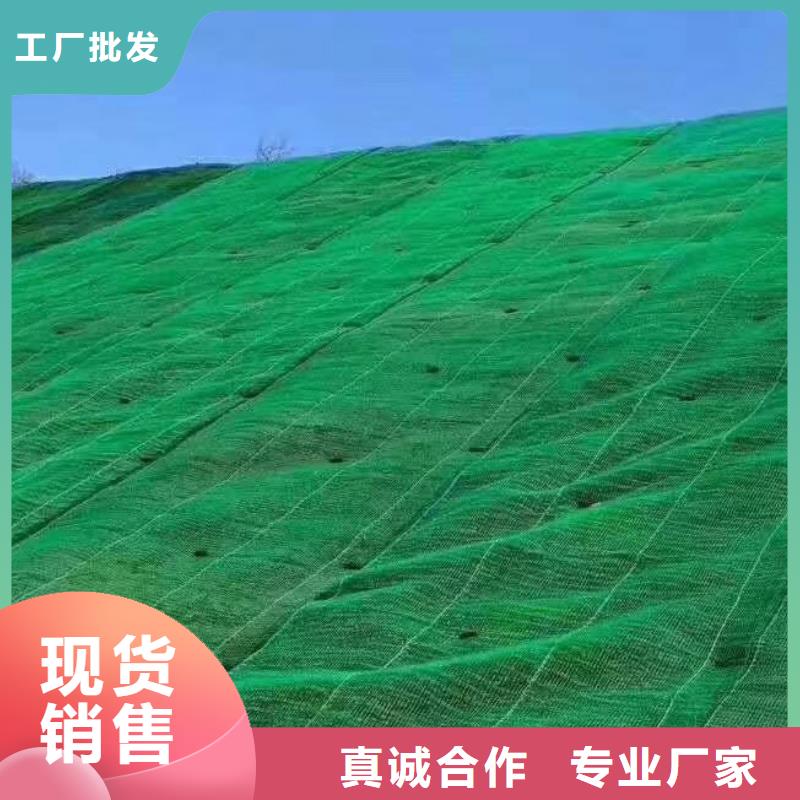 三维植被网-三维植被网厂家