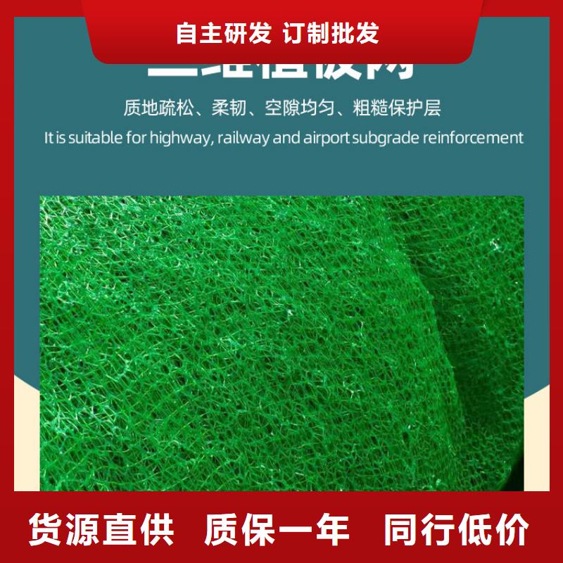 三维植被网型号全-新品发售