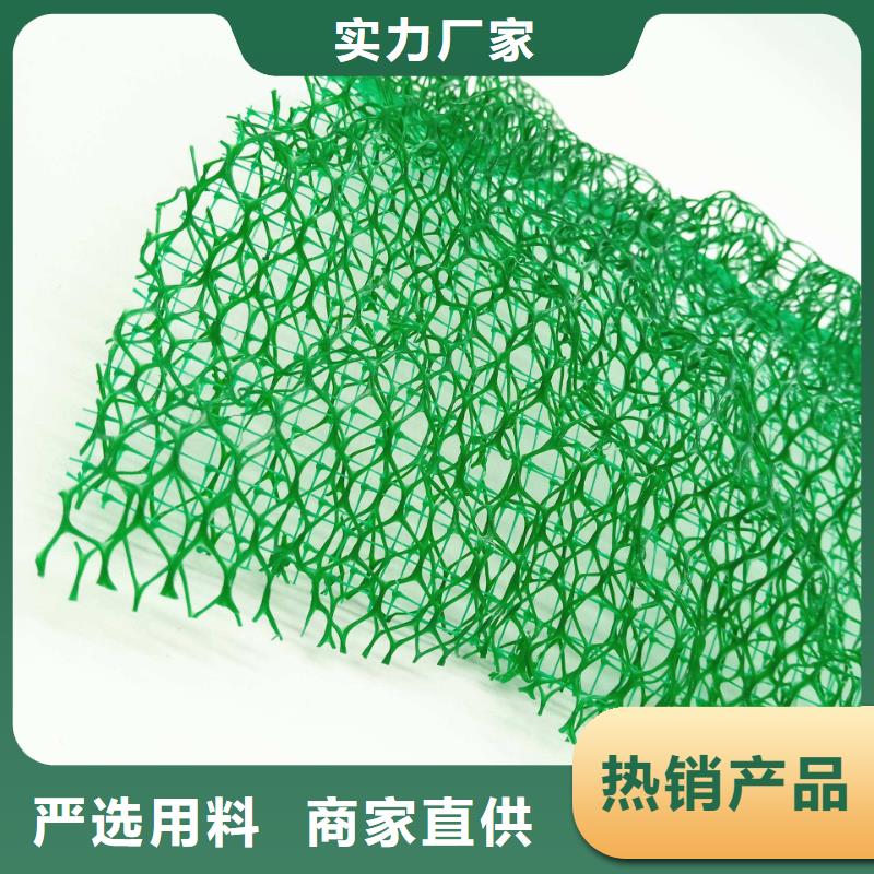 《衡阳》定做三维植被网-三维土工网垫厂家店