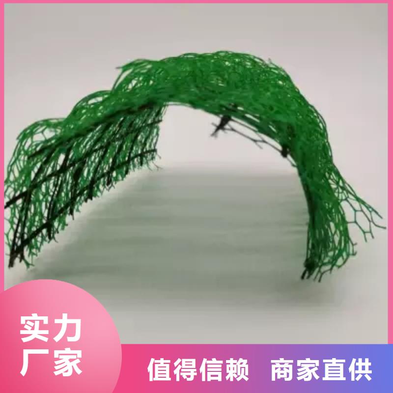 质量好【朋联】三维植被网生产工厂-现价