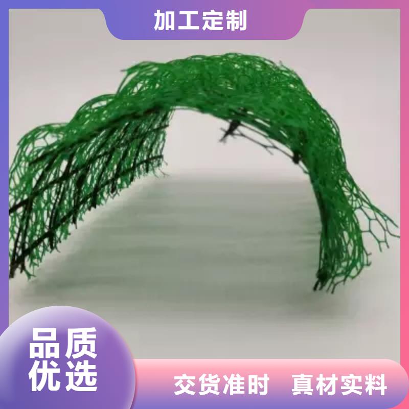 《衡阳》定做三维植被网-三维土工网垫厂家店