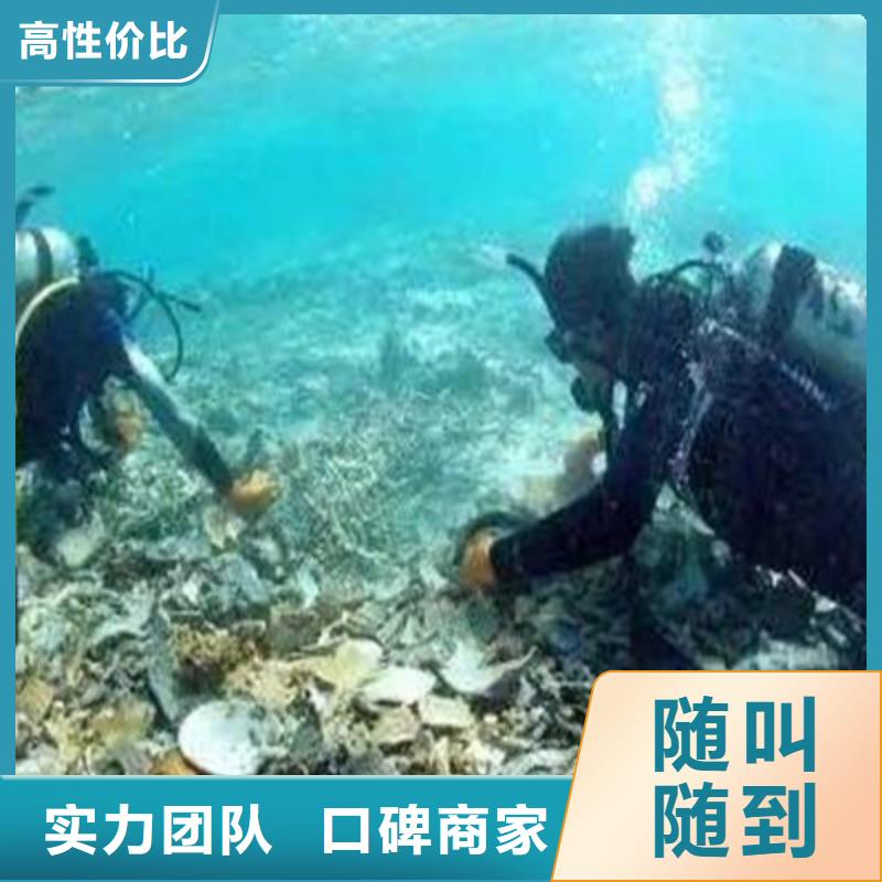 2024公司推荐<兆龙>水下施工公司应急安全救援(今日/安排)