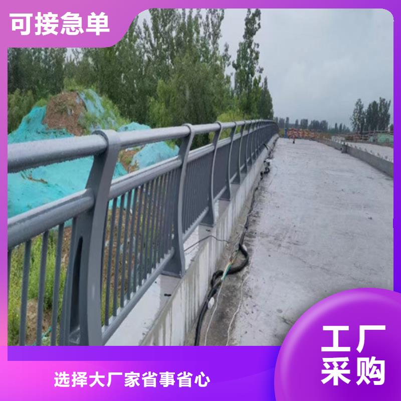 《百泰》澄迈县桥梁护栏多少钱一米采购价格