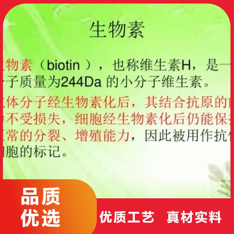 维生素H批发