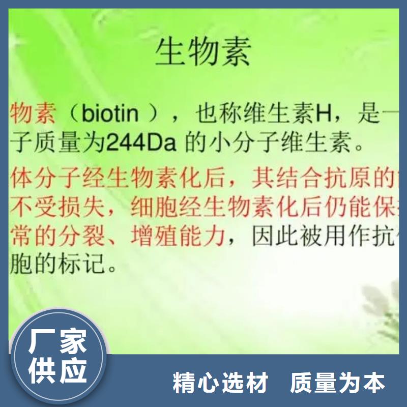 新和维生素H参数