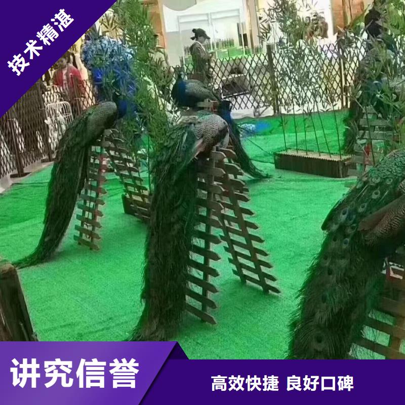 萌宠展出租一手资源