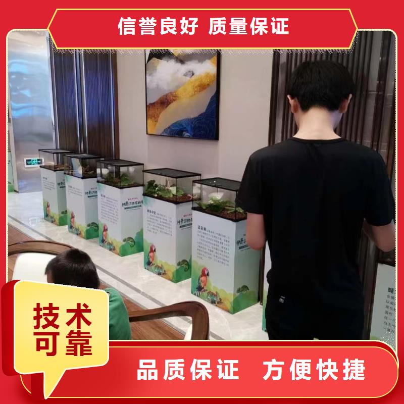 羊驼出租图片案例