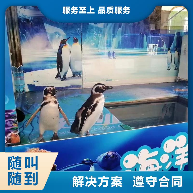 海洋生物鱼缸展出租一手资源