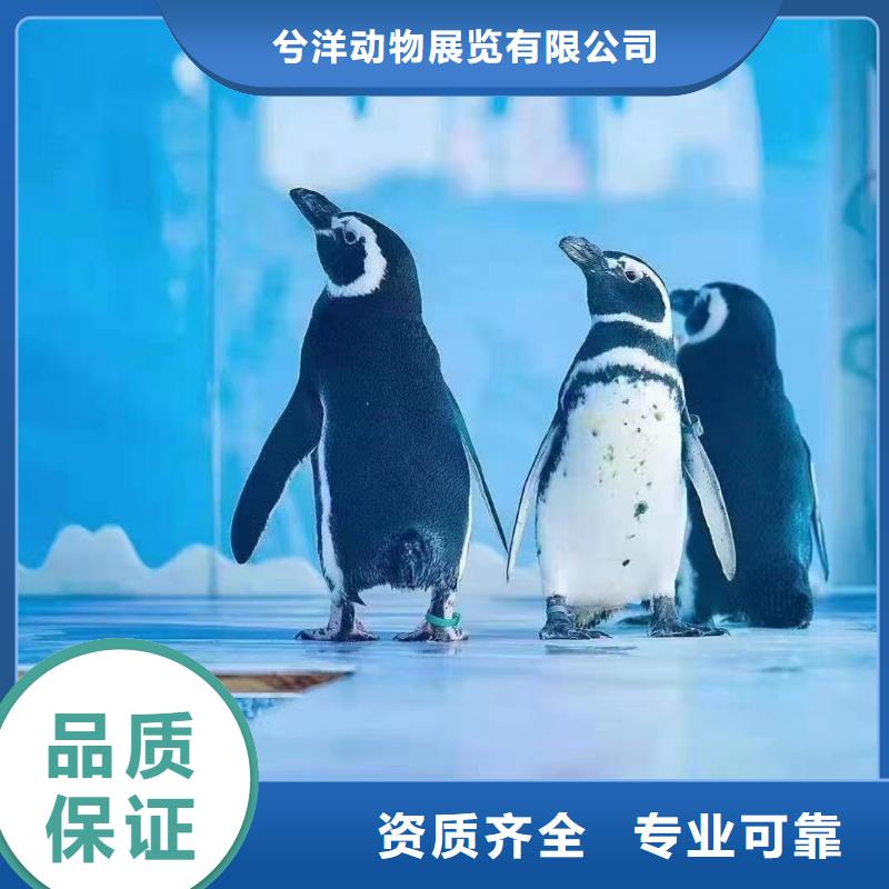 海洋生物展租赁全国承接