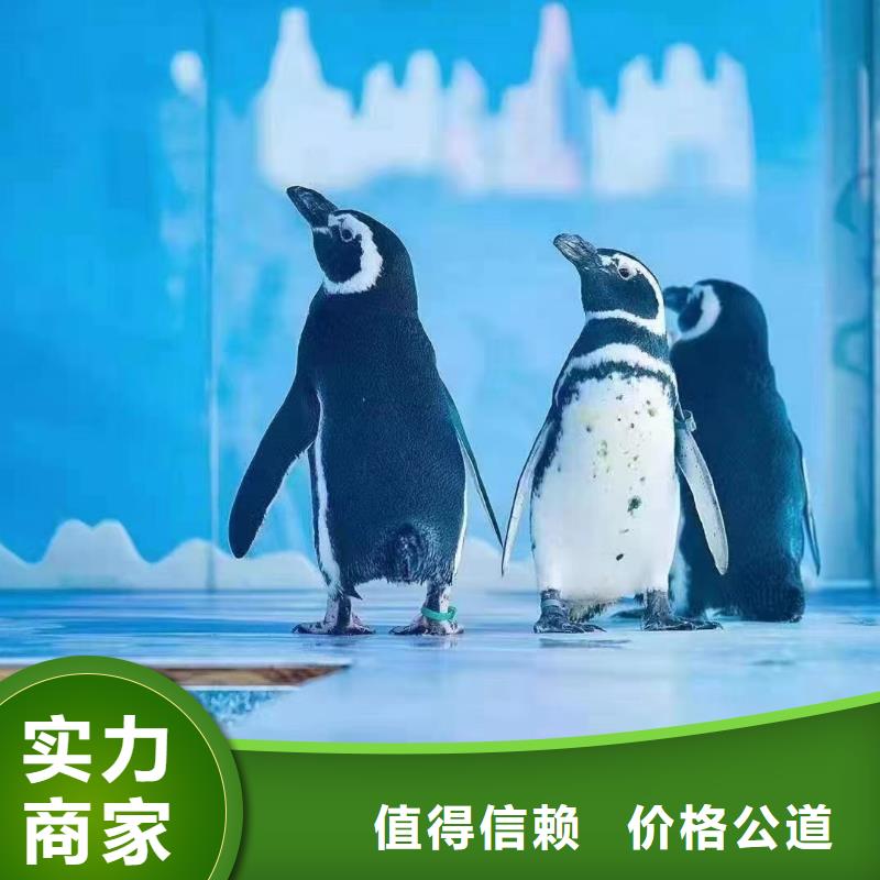 海洋生物展租赁