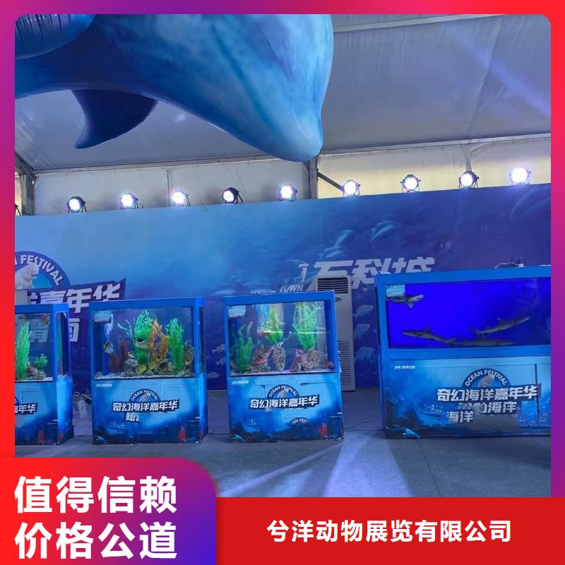 海洋生物展出租