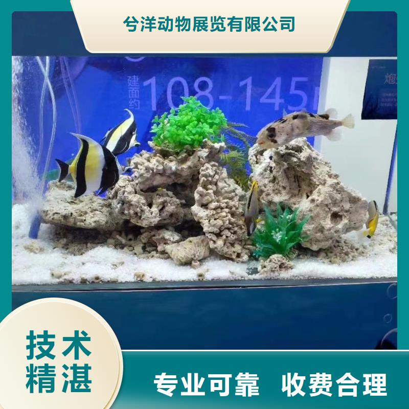 海狮出租公司全国承接