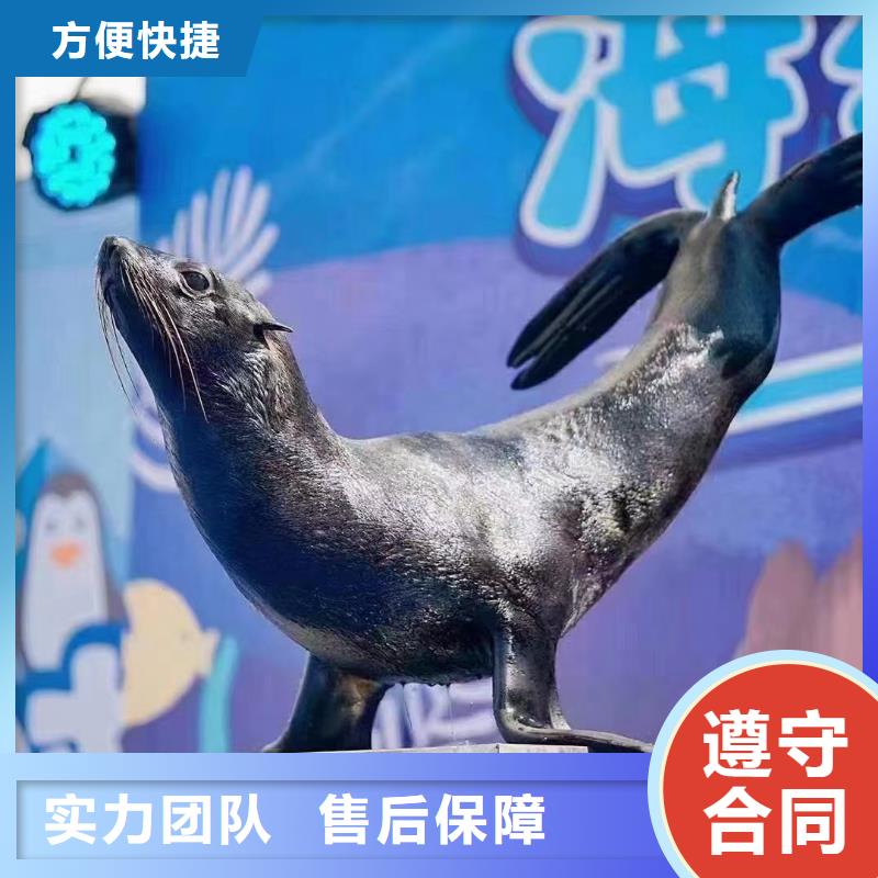 海洋生物展租赁、海洋生物展租赁生产厂家-库存充足