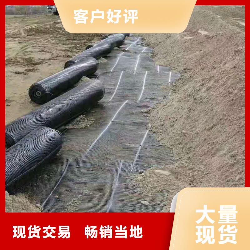 双向塑料土工格栅厂家