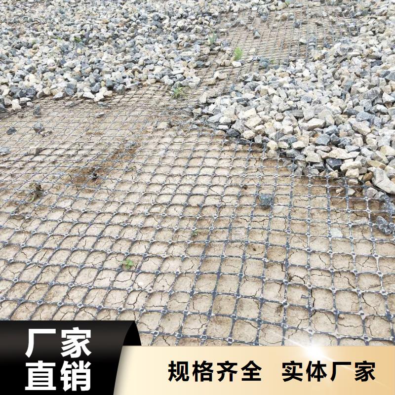 乐东县双向塑料土工格栅欢迎电询