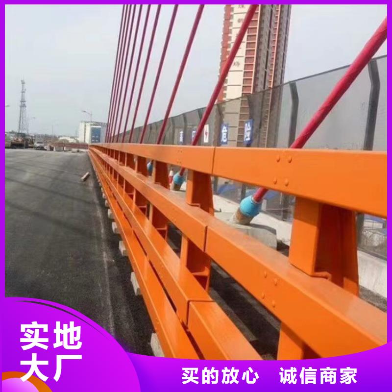 海量现货[神龙]桥梁钢护栏企业