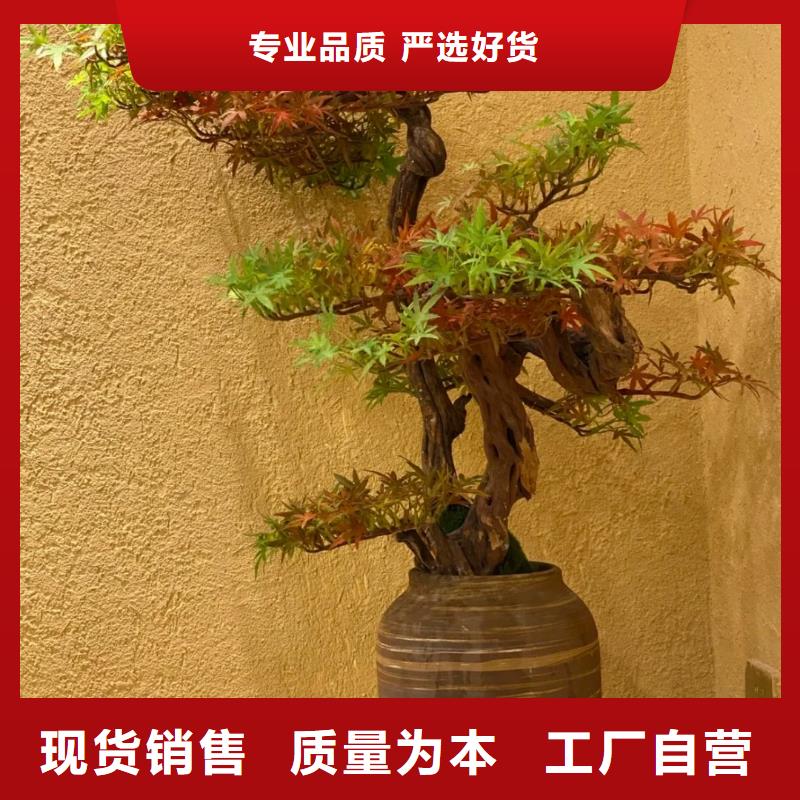 生态稻草漆源头批发