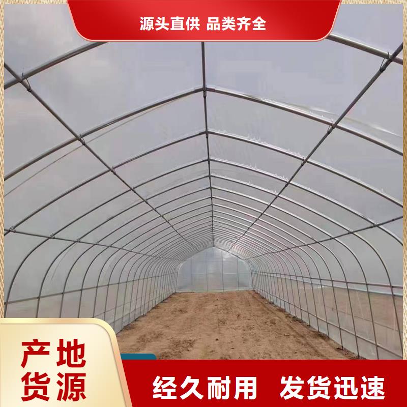 广东省工厂自营《金荣圣》新会区葡萄沃柑种植大棚欢迎咨询