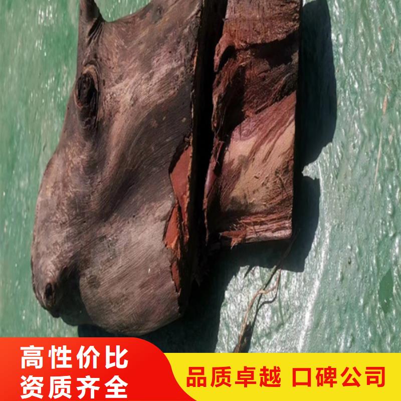 价格美丽【粤龙】水下处理螺旋桨欢迎咨询