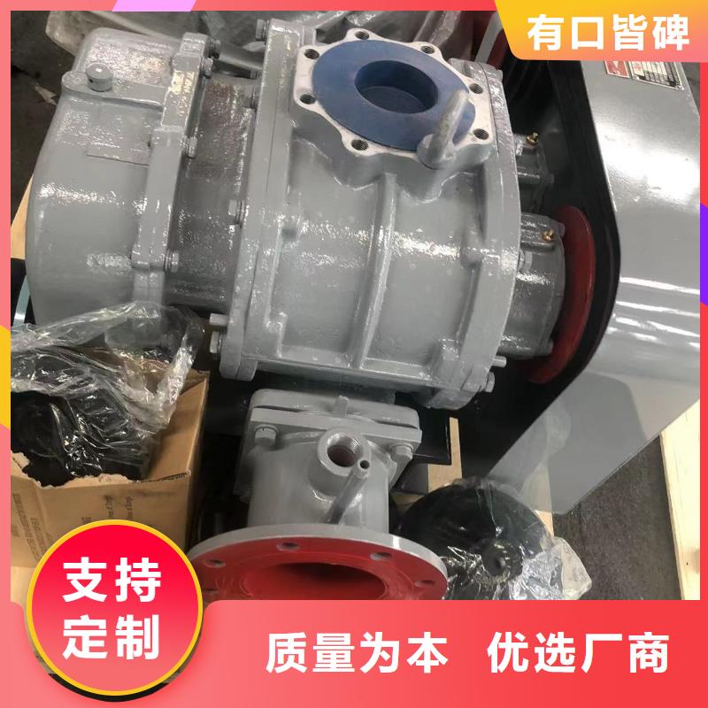 山东临风科技股份两叶罗茨风机LFSR300