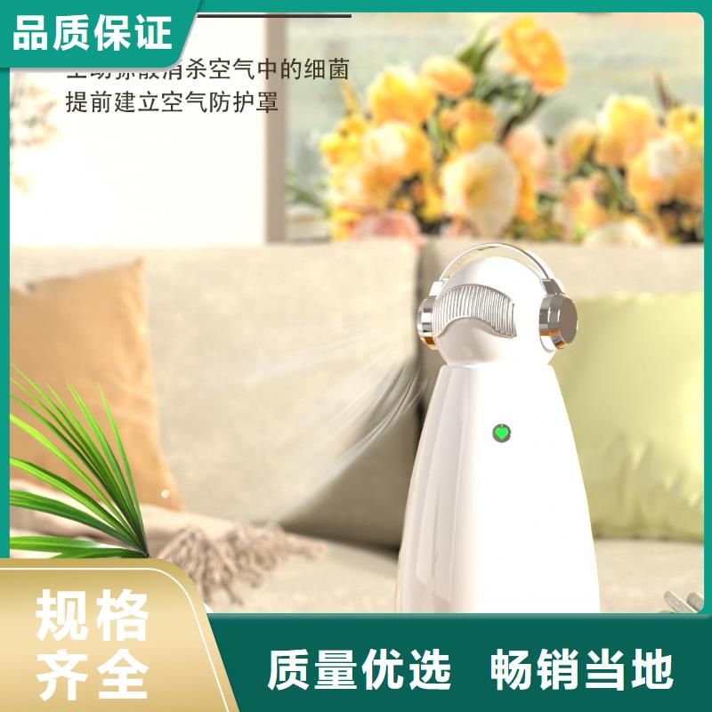 【深圳】除甲醛空气净化器使用方法多宠家庭必备