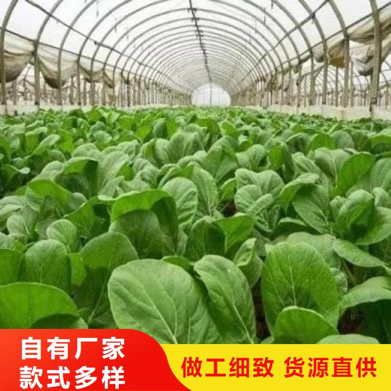 深圳市葵涌街道有机肥厂家