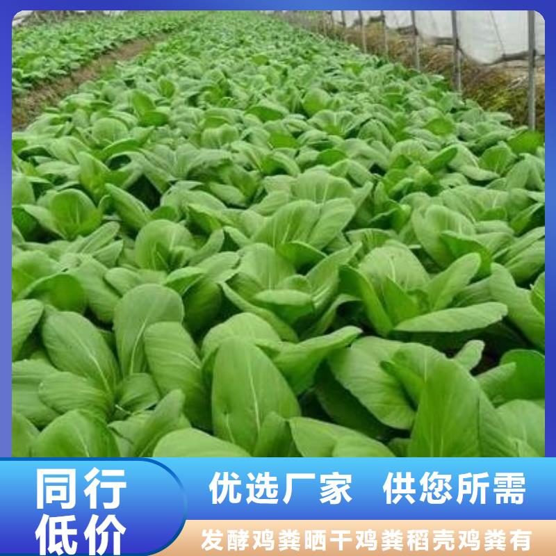 太原高平忻州发酵羊粪活化土壤