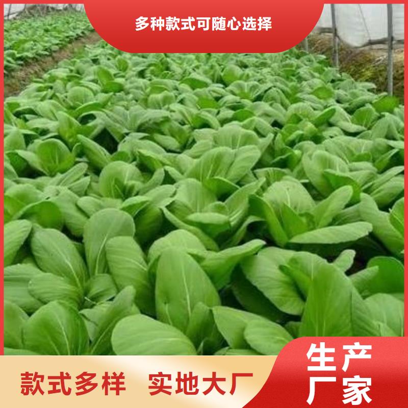 茂名惠州深圳发酵羊粪价格