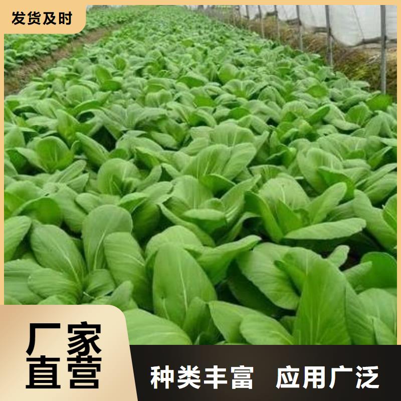 长治荔城涉县有机肥有机蔬菜好肥料