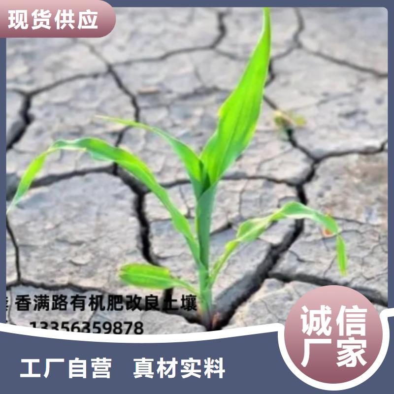 南宁钦州桂林稻壳鸡粪改良葡萄园土壤