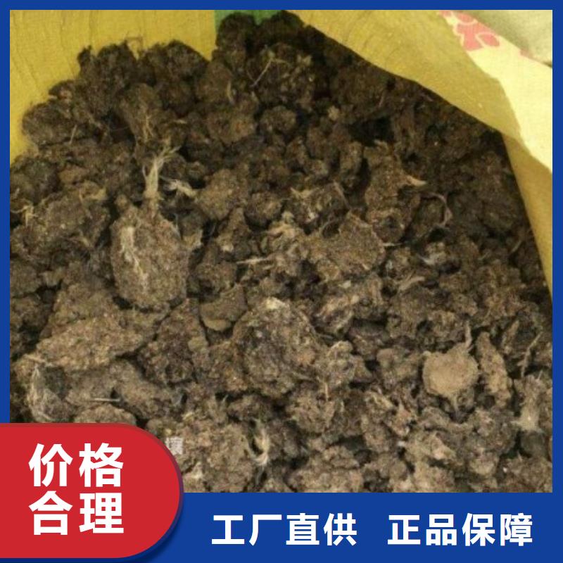 河北干鸡粪资讯