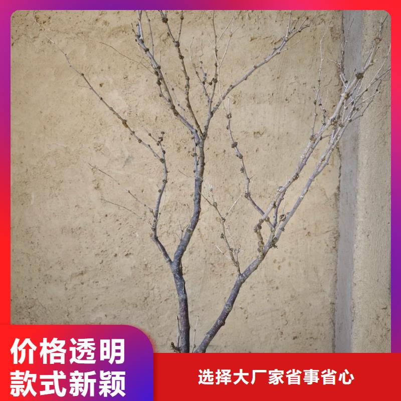 生态稻草漆源头工厂