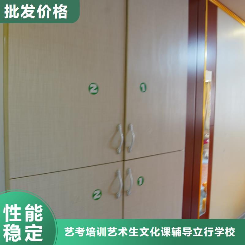 济南艺考文化课音乐艺考培训学真技术