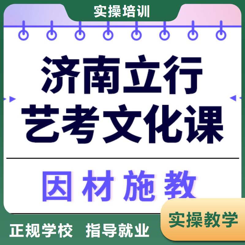 艺术生文化课艺考文化课冲刺班理论+实操