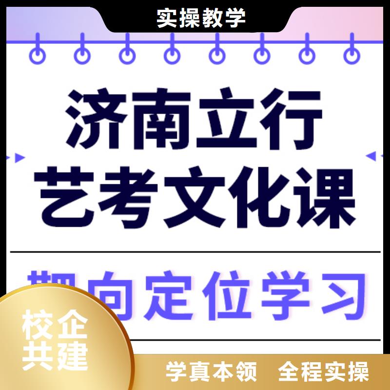 艺术生文化课高考冲刺班课程多样