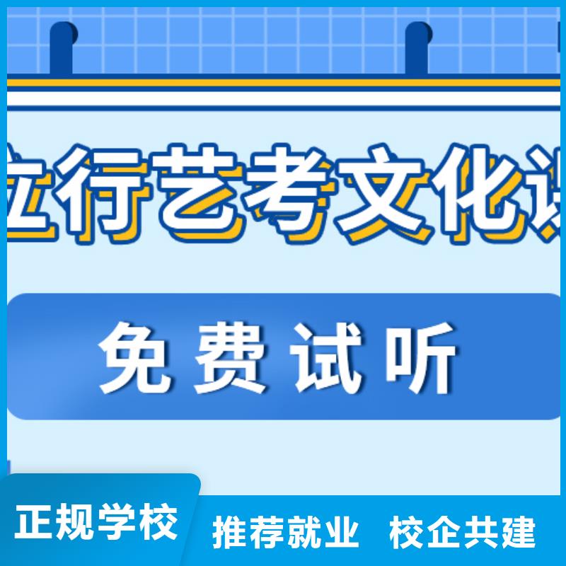 艺术生文化课高考冲刺班课程多样