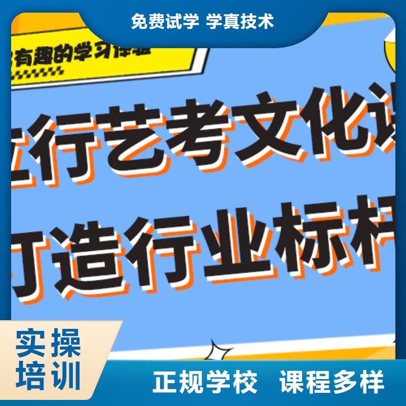 艺术生文化课辅导机构有没有在那边学习的来说下实际情况的？