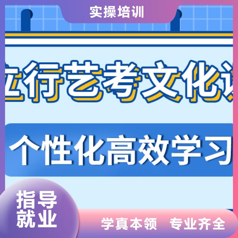 艺考生文化课高考冲刺全年制老师专业