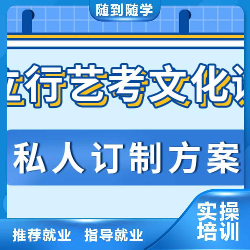 艺术生文化课有没有在那边学习的来说下实际情况的？